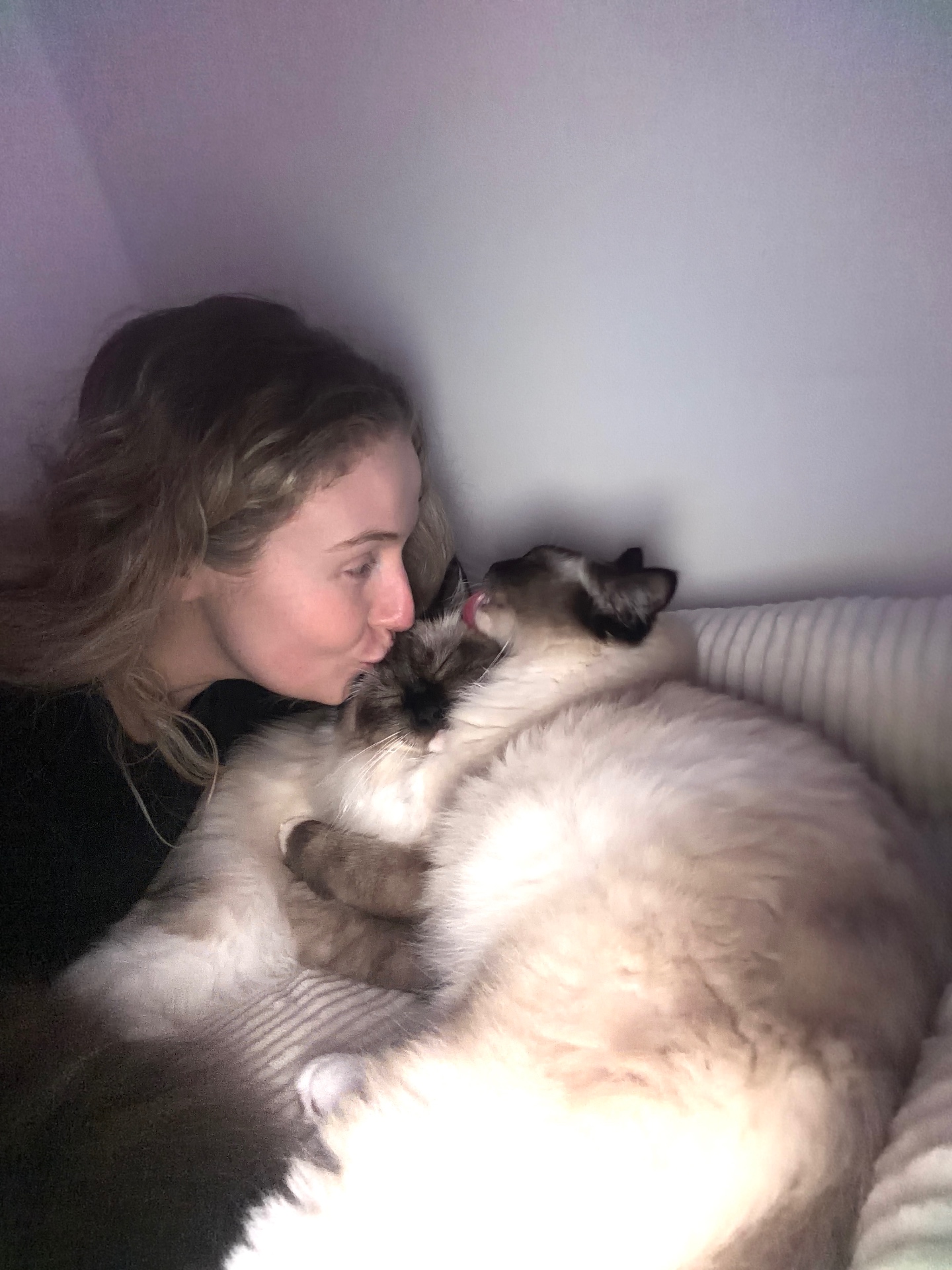 Samantha cuddling with her ragdoll cat